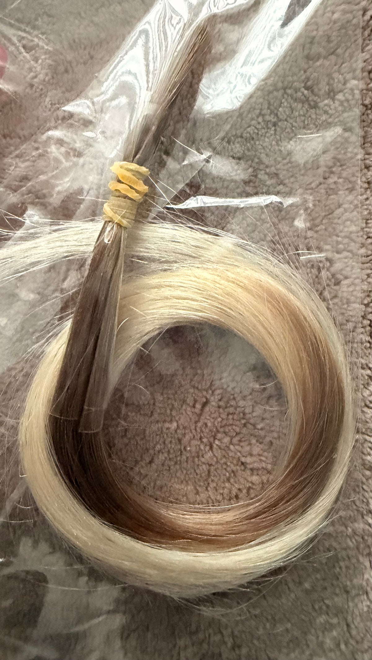 Kleur sample #8T60