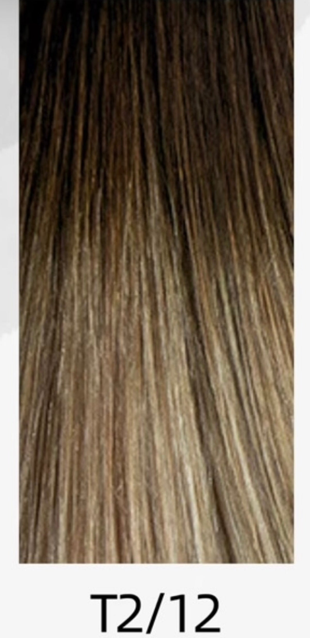 Virgin hair Octopus clip-in T2/12 Baddiebundlesstore 