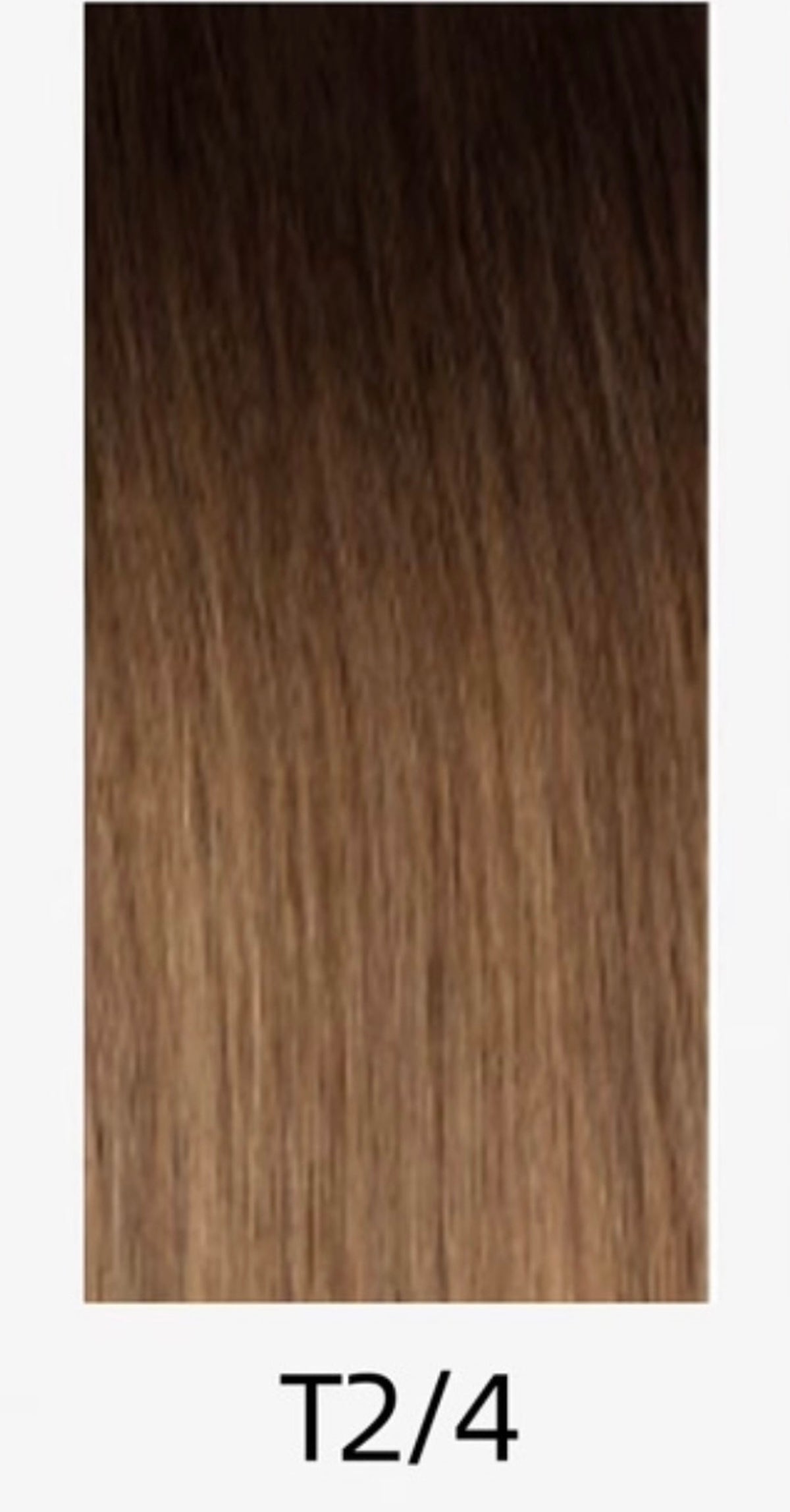 Virgin hair Octopus clip-in T2/4 Baddiebundlesstore 